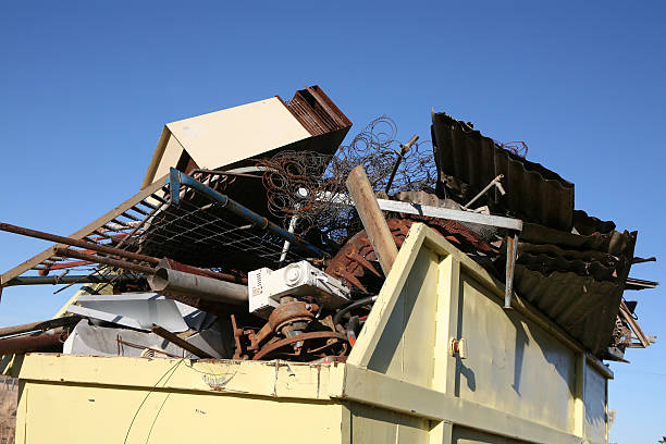 Best Attic Cleanout Services  in Pioche, NV